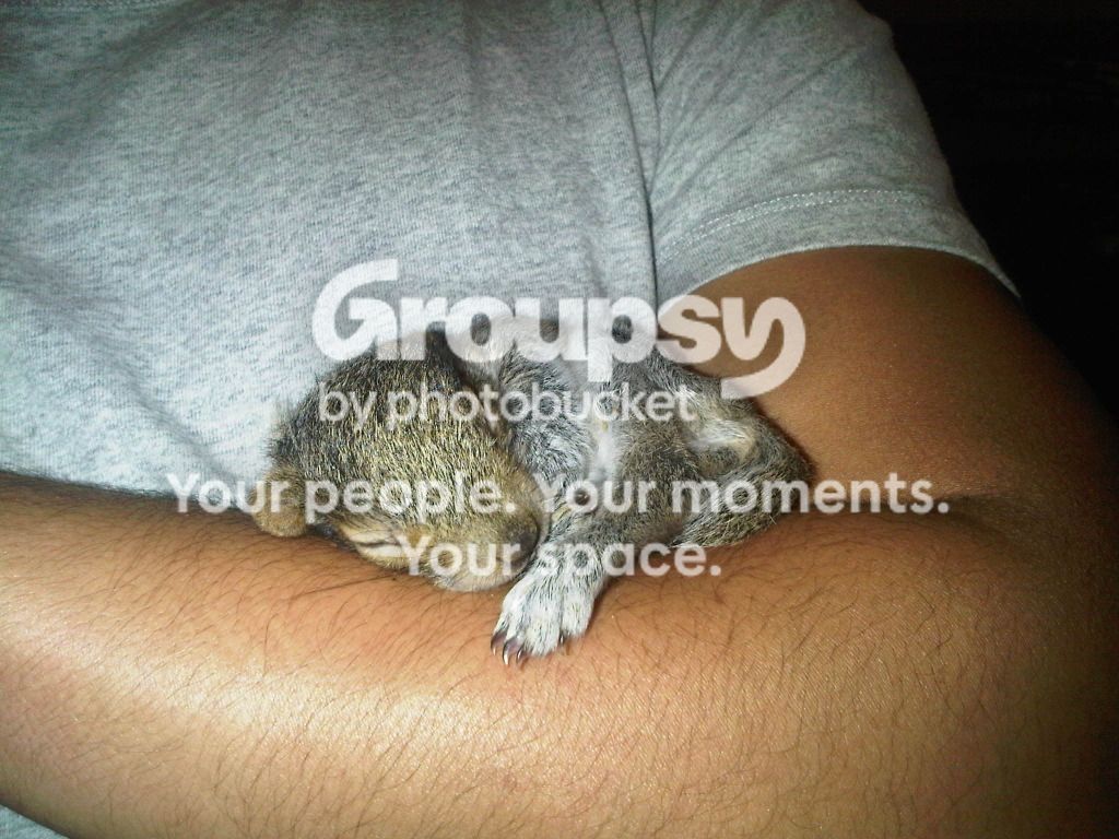 IMG00029-20100410-1708.jpg