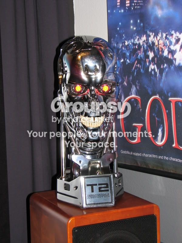 T2Skull002.jpg