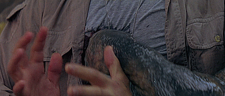 tumblr_phq8n9xWib1xe4p5io2_500.gifv