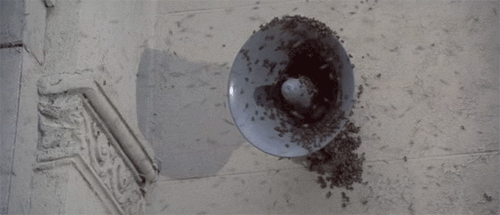 the swarm gifs | WiffleGif