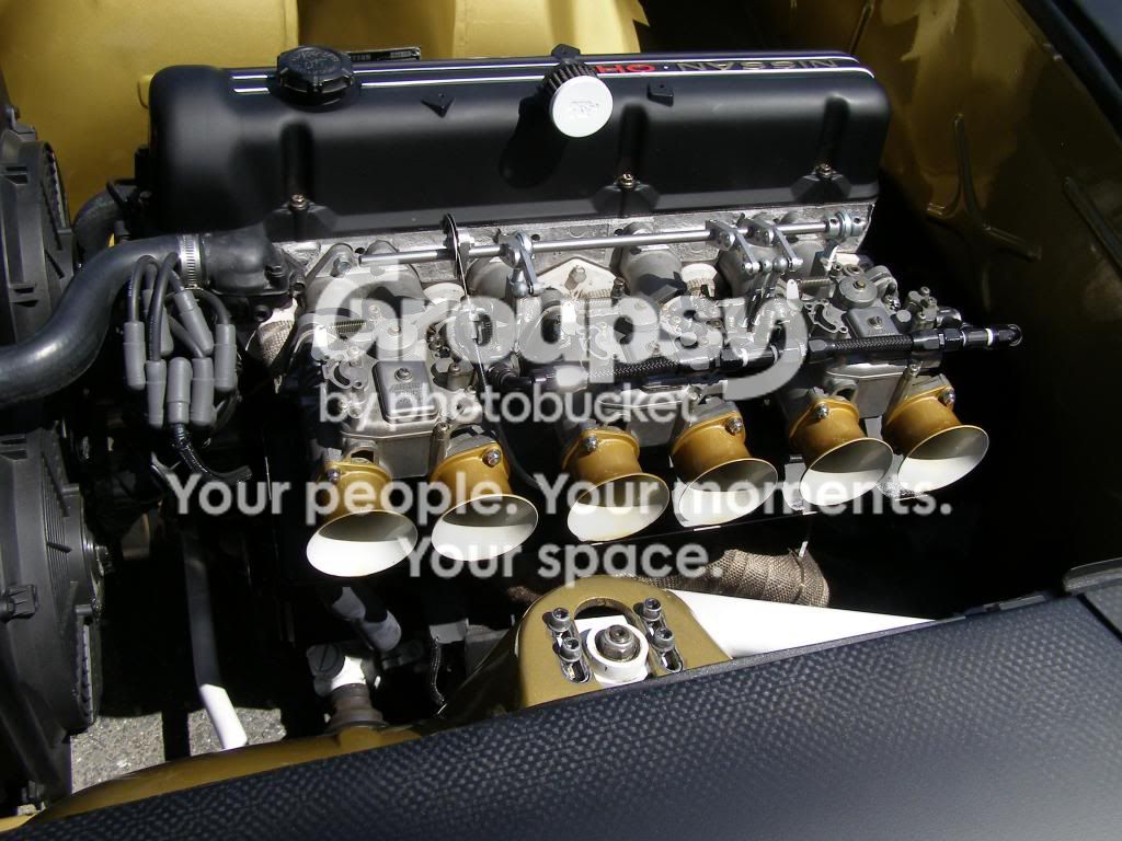 P5196260_zps10dd89af.jpg