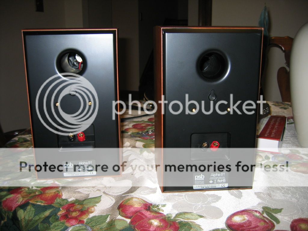 Psb Alpha B1 Speakers Cherry Audioholics Home Theater Forums