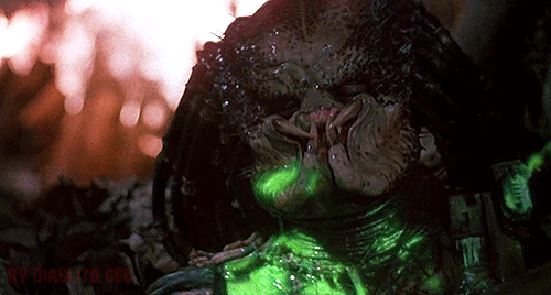 Predator (1987) - Movie Reviews Simbasible