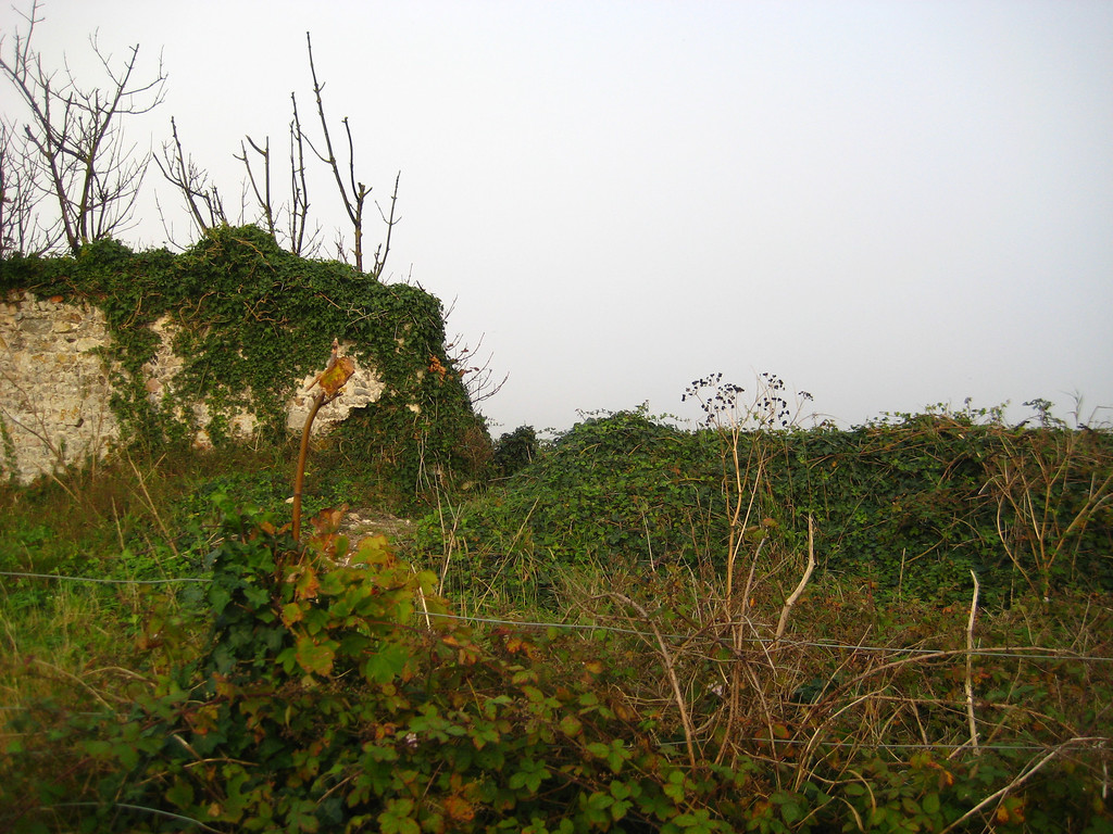IMG_4337-XL.jpg