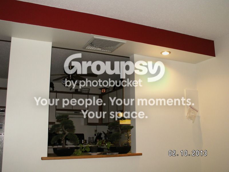 PICT0375.jpg