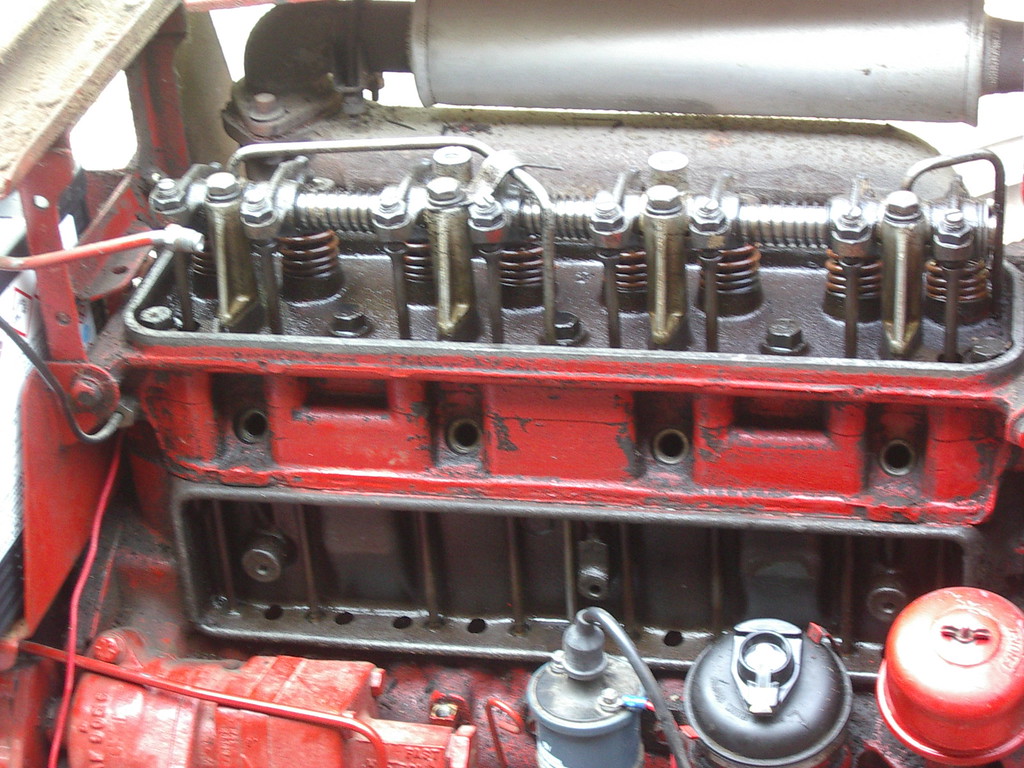 IMGP5074-XL.jpg