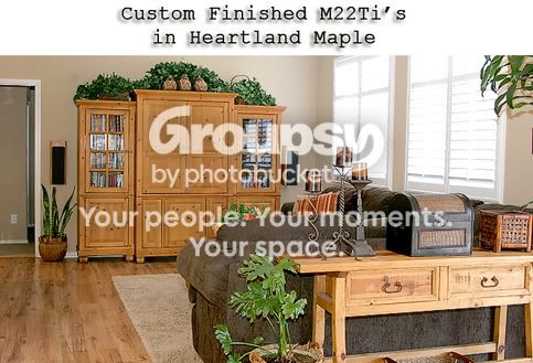 M22-Custom.jpg