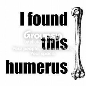 humerus.jpg
