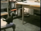 fail.gif