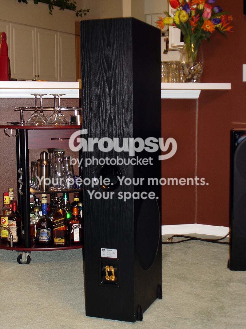 Rear.jpg