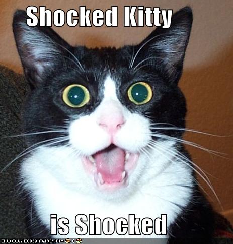 ShockedKitty.jpg