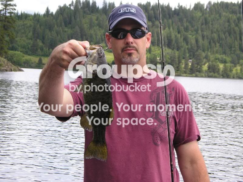 smallfish.jpg