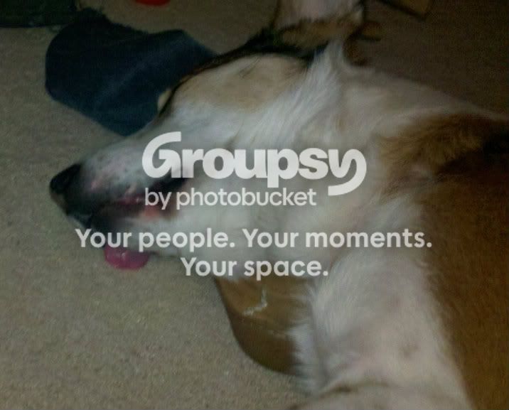 2011-12-11_18-32-40_304.jpg