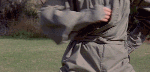 ninja iii: the domination gif | WiffleGif