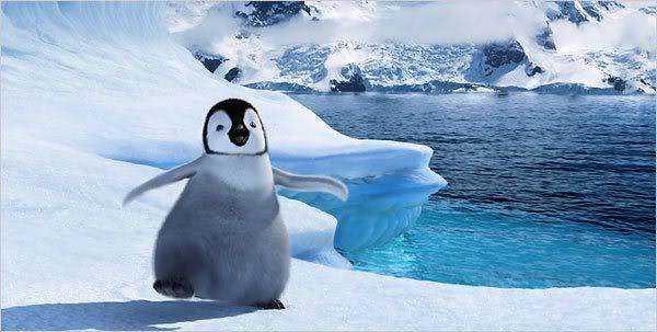 penguin600_penguin.jpg