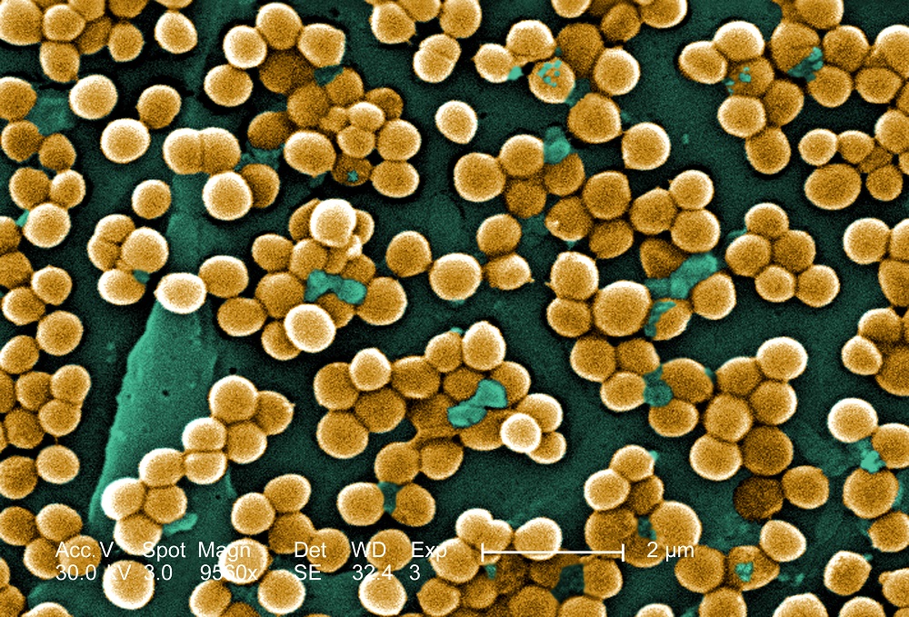 www.livescience.com