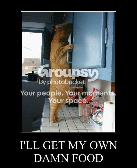 get-my-own-damn-food.jpg