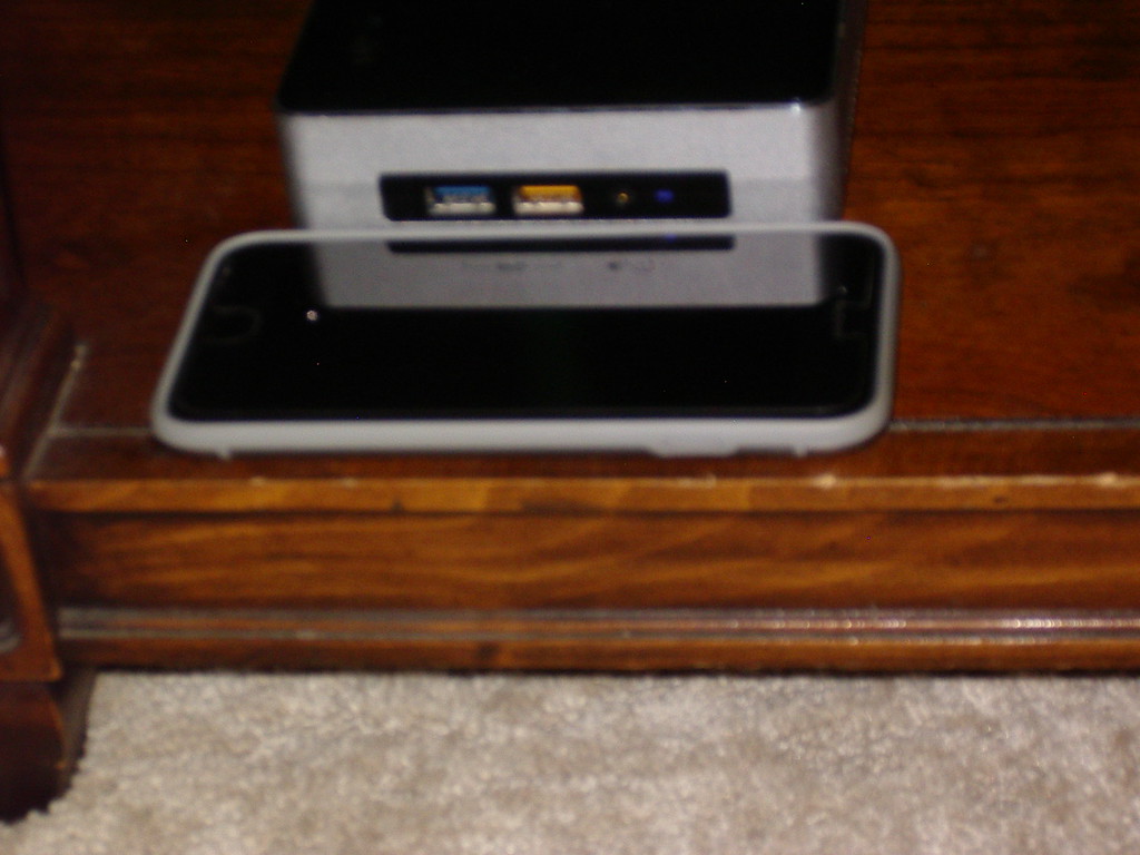 IMGP5195-XL.jpg