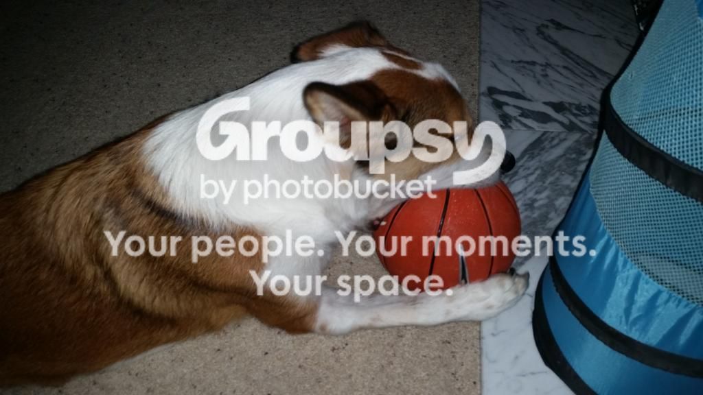 20140831_144807_zpsqfrvnj3c.jpg