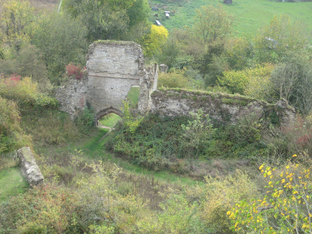 IMG4535-XL.jpg