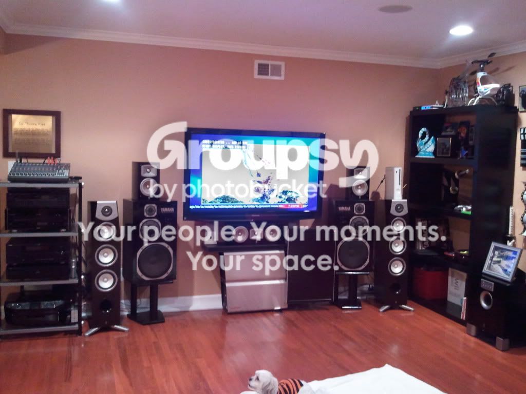 2011-03-25192337.jpg