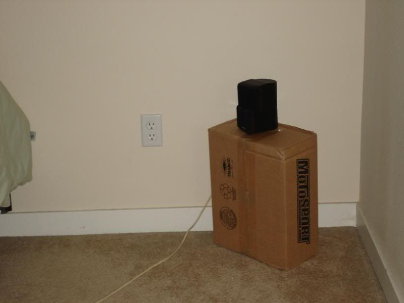 DSC00894.jpg