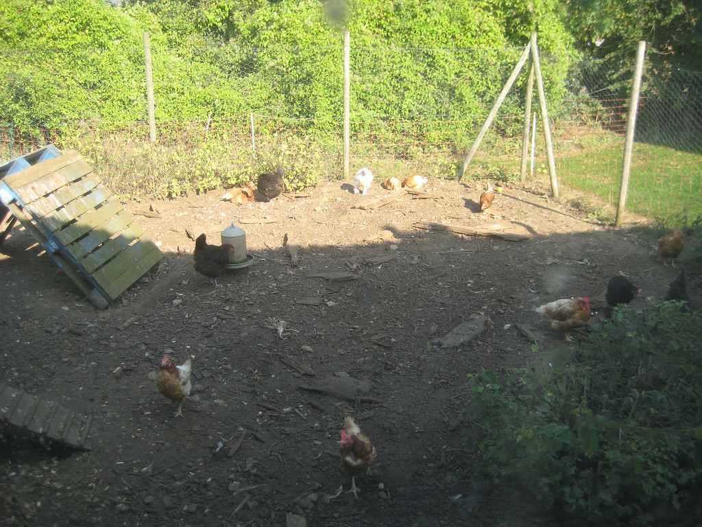IMG4621-XL.jpg