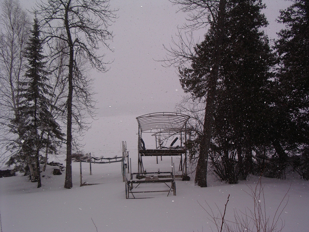 IMGP4462-XL.jpg