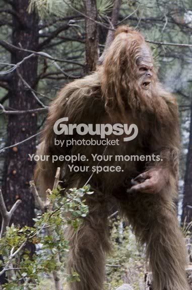 monkey.jpg