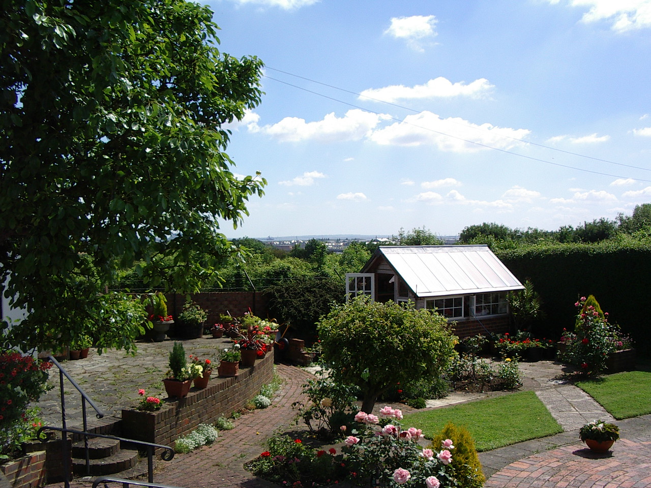 IMGP0900-X2.jpg