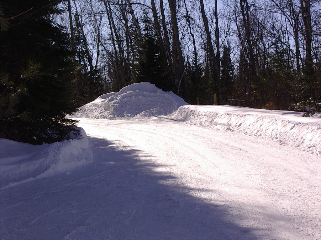 IMGP5275-XL.jpg