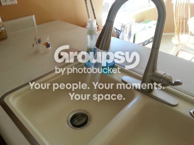 New_faucet_spray-1.jpg