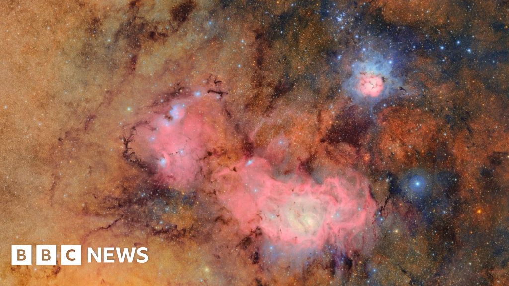 www.bbc.com