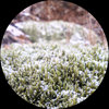 moatun7.bandcamp.com