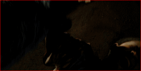 I-Mockery.com | The Seven Most Hilariously Awful Things About Exorcist: The  Beginning