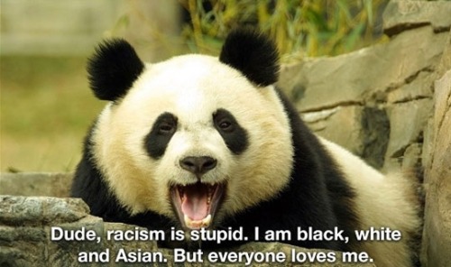 tumblr_lzuy222DqW1r0wqrdo1_500.jpg