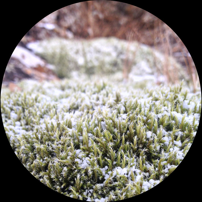 moatun7.bandcamp.com