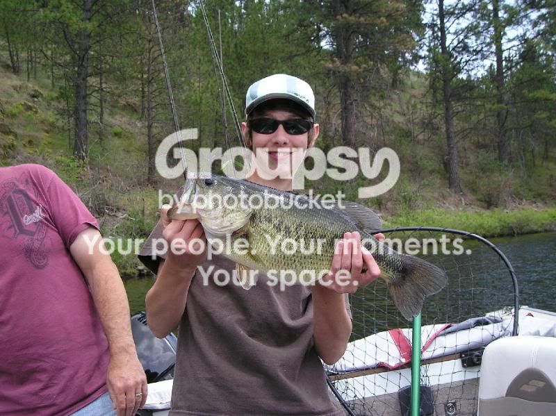 bigfish.jpg