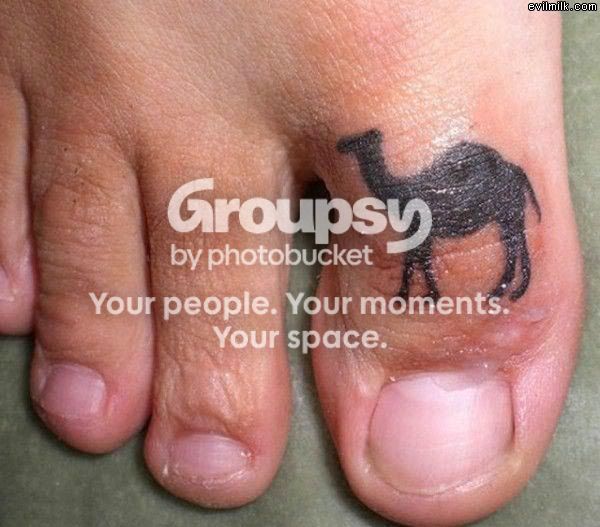 cameltoe.jpg