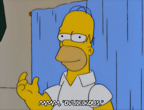 Homer Simpson GIF - Find & Share on GIPHY