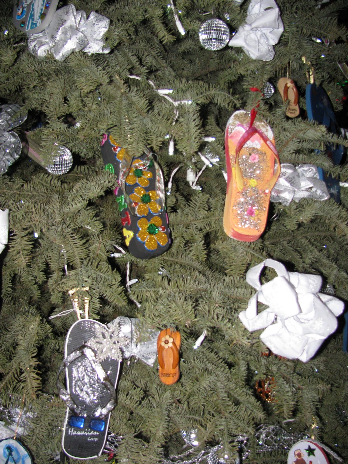 IMG_7360.jpg