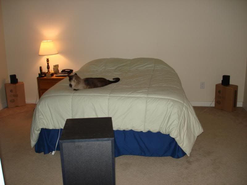 DSC00895.jpg