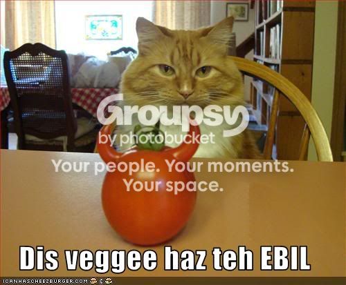 funny-pictures-cat-says-veggie-is-e.jpg