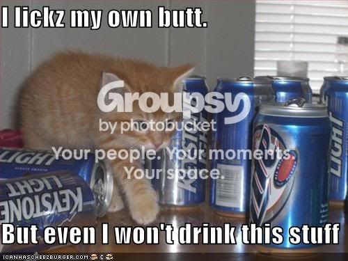 funny-pictures-kitten-wont-drink-ke.jpg