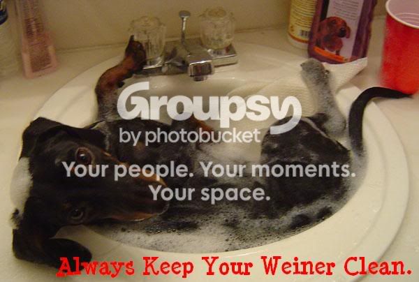 weiner.jpg