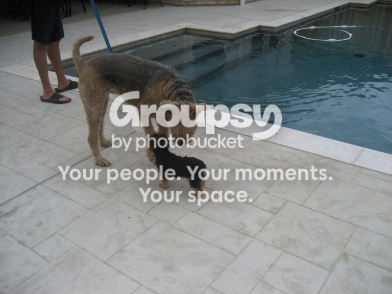 deletepictures369.jpg