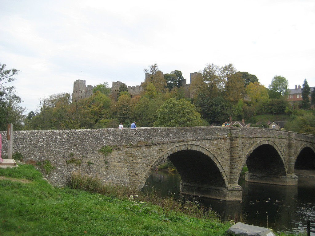 IMG4555-XL.jpg