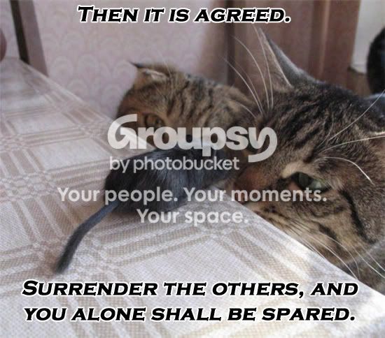 Thenitisagreed.jpg