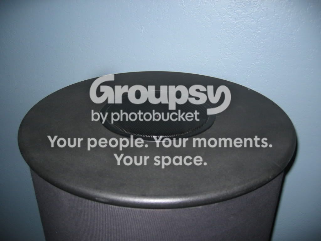 IMG_2558.jpg