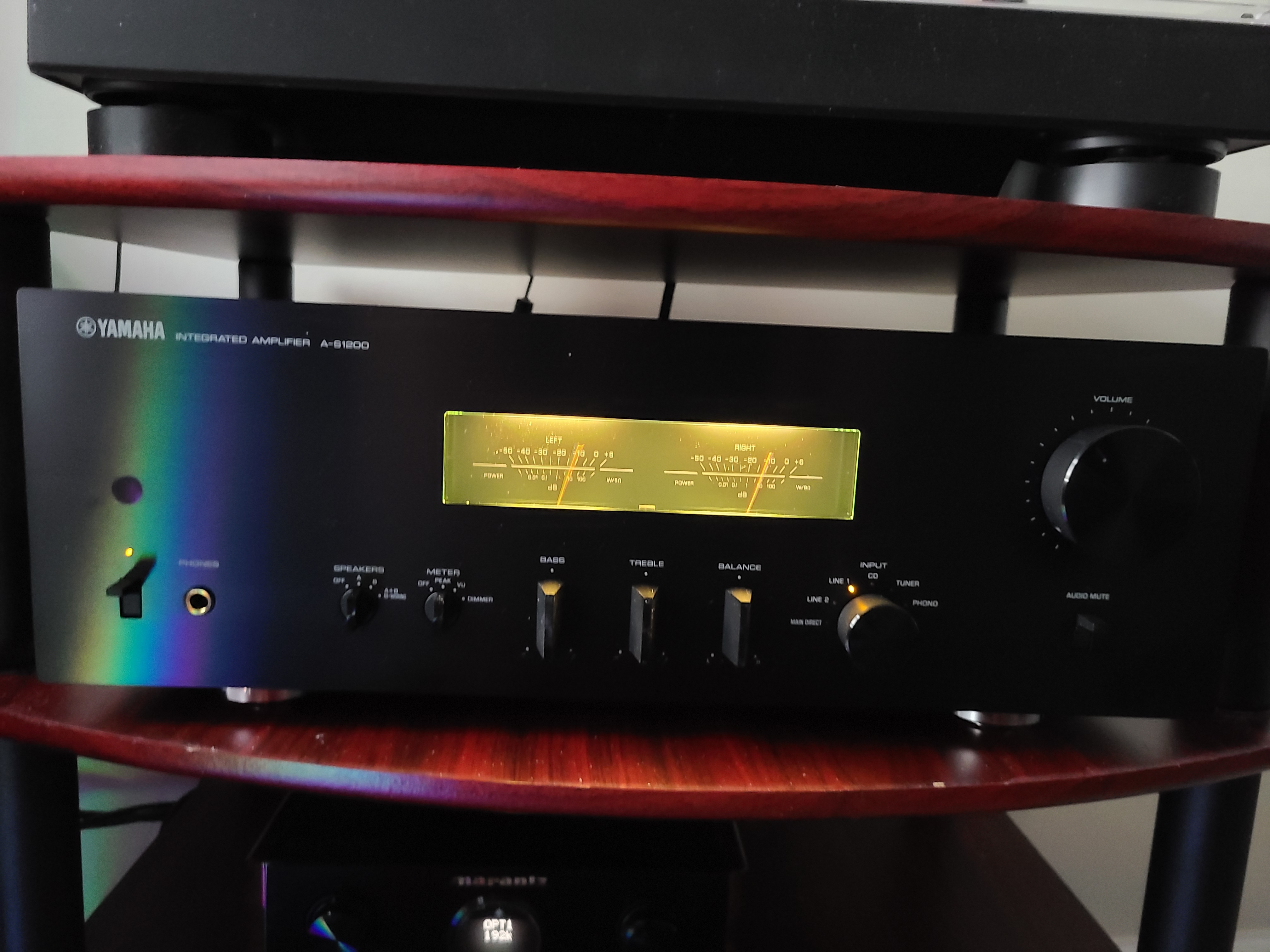 20210318-231210-Copy.jpg